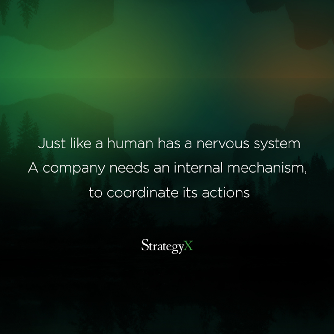 A company needs an internal mechanism like the human nervous system