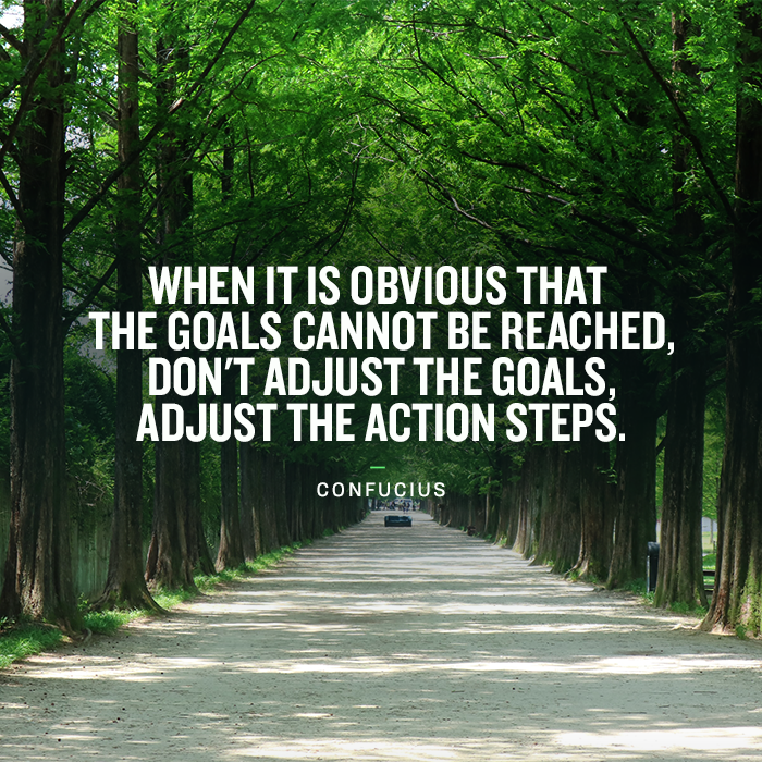 Consider adjusting your action steps and not goals when they seem unattainable
